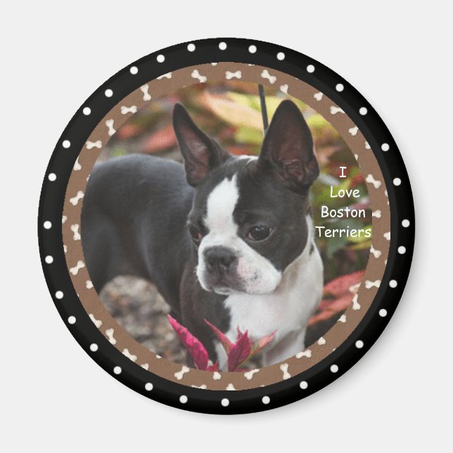 I Liebe Boston Terrier Dogs Magnet (Vorne)