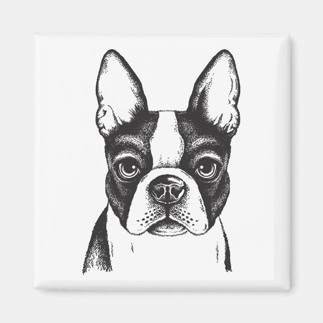 I Liebe Boston Terriers Magnet (Vorne)