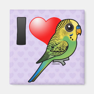 I Liebe Budgies Magnet