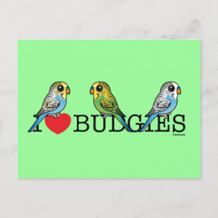I Liebe Budgies Postkarte