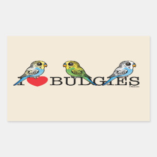 I Liebe Budgies Rechteckiger Aufkleber
