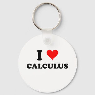 I Liebe Calculus Schlüsselanhänger