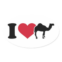 I Liebe Camels