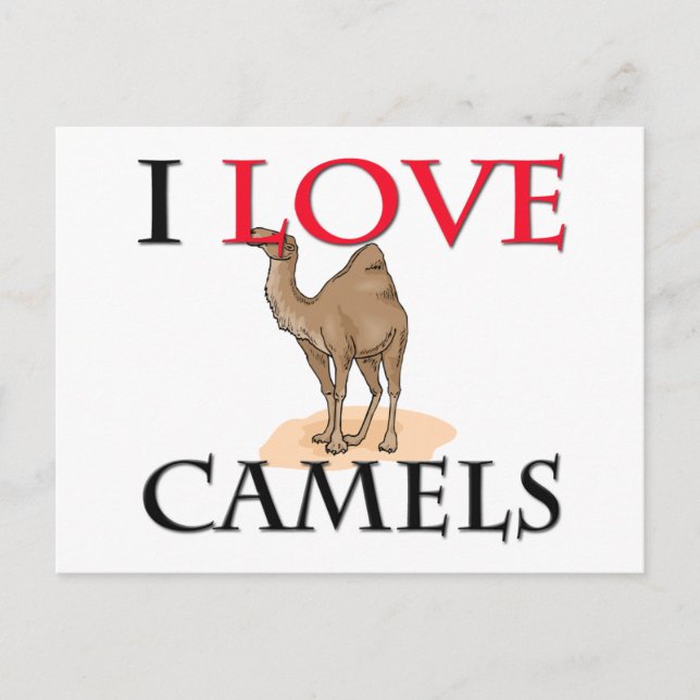 I Liebe Camels Postkarte (Vorderseite)