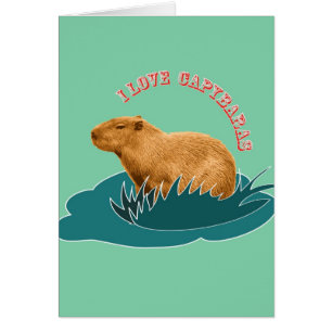 I Liebe Capybaras
