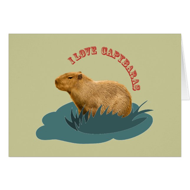 I Liebe Capybaras (Vorderseite (Horizontal))