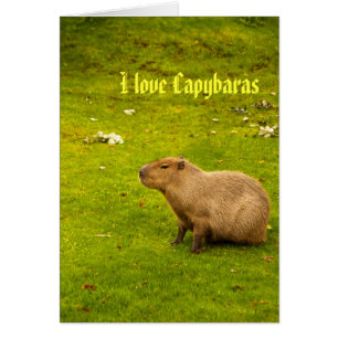 I Liebe Capybaras Card