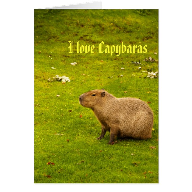 I Liebe Capybaras Card (Vorne)