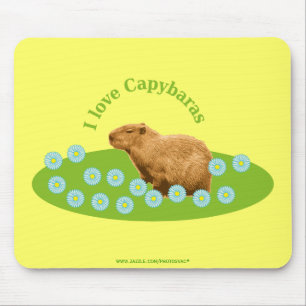 I Liebe Capybaras Mousepad