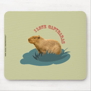 I Liebe Capybaras Mousepad