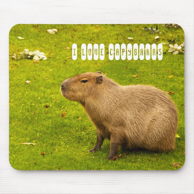 I Liebe Capybaras Mousepad (Vorne)