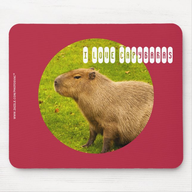 I Liebe Capybaras Mousepad (Vorne)