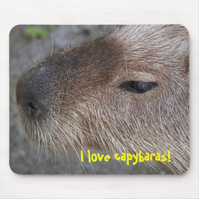 I Liebe Capybaras Mousepad (Vorne)