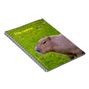 I Liebe Capybaras Notebook Notizblock