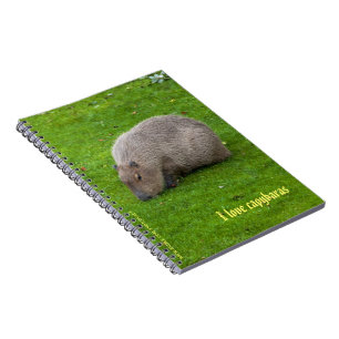 I Liebe Capybaras Notebook Notizblock