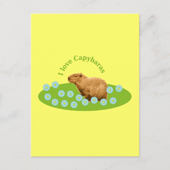 I Liebe Capybaras Postkarte (Vorderseite)
