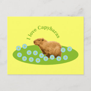I Liebe Capybaras Postkarte