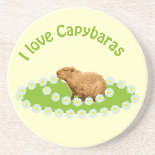 I Liebe Capybaras Untersetzer