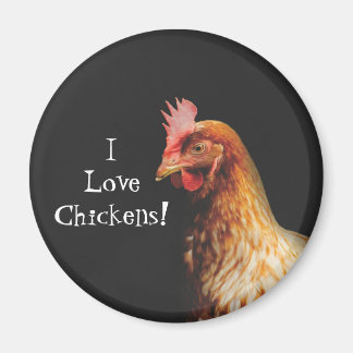 I Liebe Chickens Magnet
