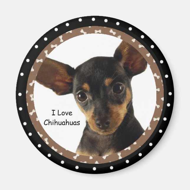 I Liebe Chihuahuas Magnet (Vorne)