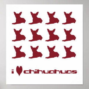 I Liebe Chihuahuas Poster