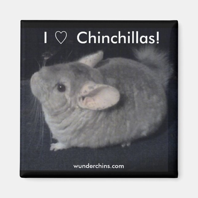 I Liebe Chinchillas Magnet (Vorne)