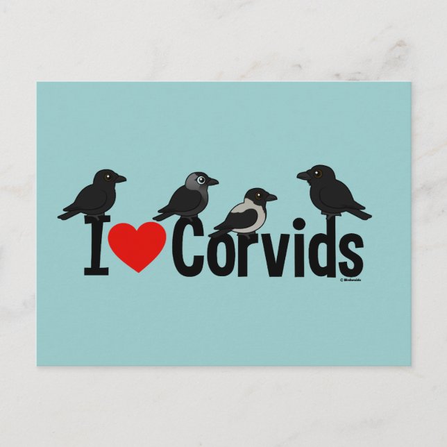 I Liebe Corvids Postkarte (Vorderseite)
