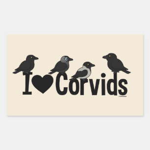 I Liebe Corvids Rechteckiger Aufkleber