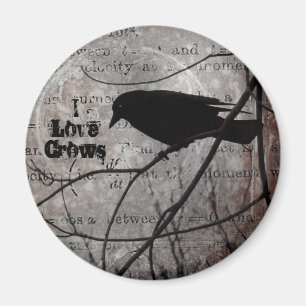 I Liebe Crows Magnet