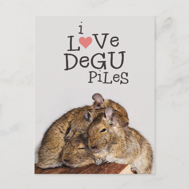 I Liebe Degu Piles Postkarte (Vorderseite)