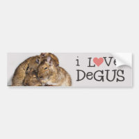 I Liebe Degus - Degu Stapel