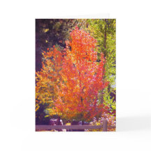 I Liebe der Herbstkarte