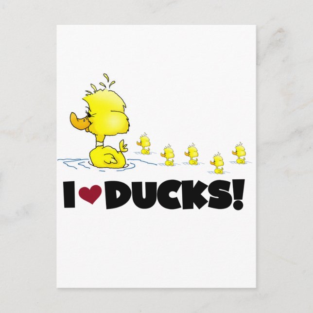 I Liebe Ducks Tshirts und Geschenke Postkarte (Vorderseite)