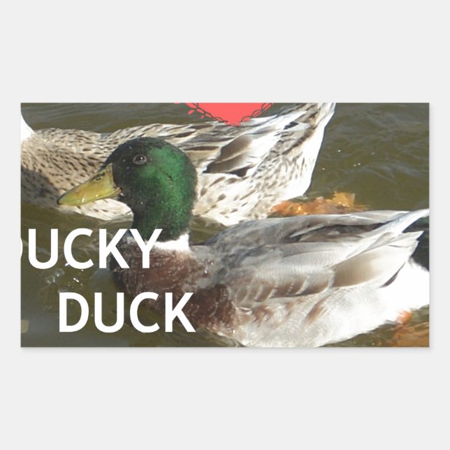 I Liebe Ducky Duck Mountains Design Rechteckiger Aufkleber (Vorderseite)