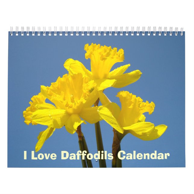 I Liebe Düsterkalender Nature Spring Blue Sky Kalender (Titelbild)