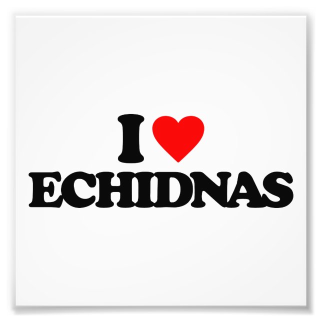 I LIEBE ECHIDNAS FOTODRUCK (Vorne)