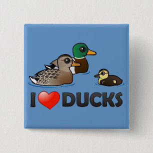 I Liebe-Enten Button