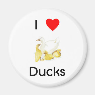 I Liebe Enten Magnet