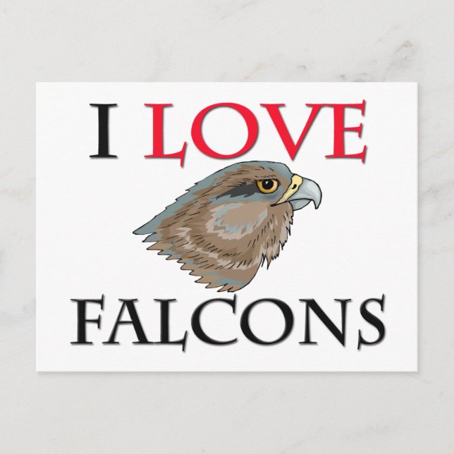 I Liebe Falcons Postkarte (Vorderseite)