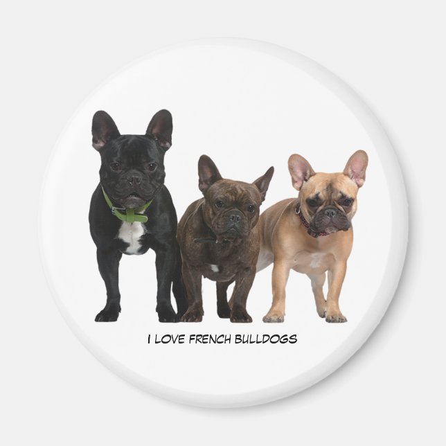I Liebe French Bulldogs Magnet (Vorne)