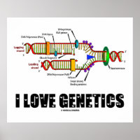I Liebe Genetik (DNA-Replikation)