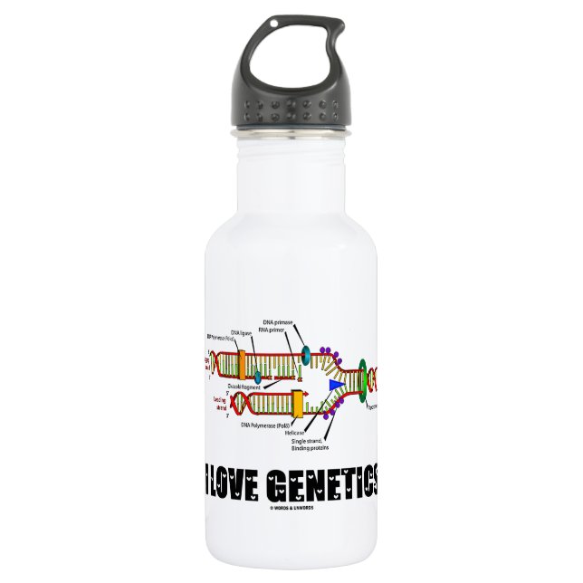 I Liebe-Genetik (DNA-Reproduktion) Trinkflasche (Vorderseite)