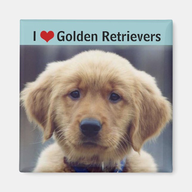 I Liebe Golden Retrievers Niedliche Welpe Magnet (Vorne)