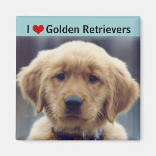 I Liebe-goldene Retriever-niedlicher Welpe Magnet