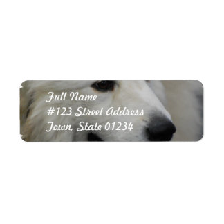 I Liebe Great Pyrenäen Mailing Labels