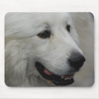 I Liebe-große Pyrenäen-Mausunterlage Mousepad