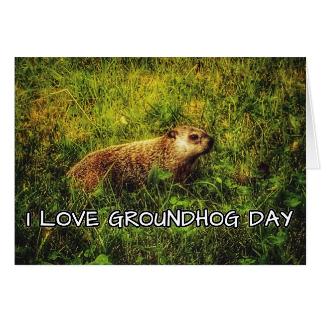 I Liebe Groundhog Day Grußkarte (Vorderseite (Horizontal))