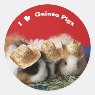 I Liebe Guinea Schweine Aufkleber