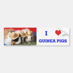 I Liebe Guinea Schweine Autoaufkleber