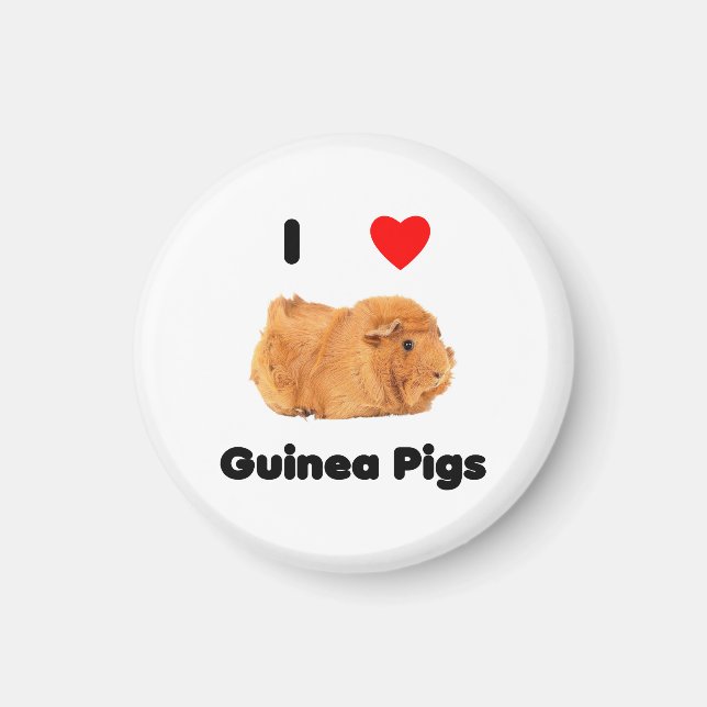 I Liebe Guinea Schweine Magnet (Vorne)